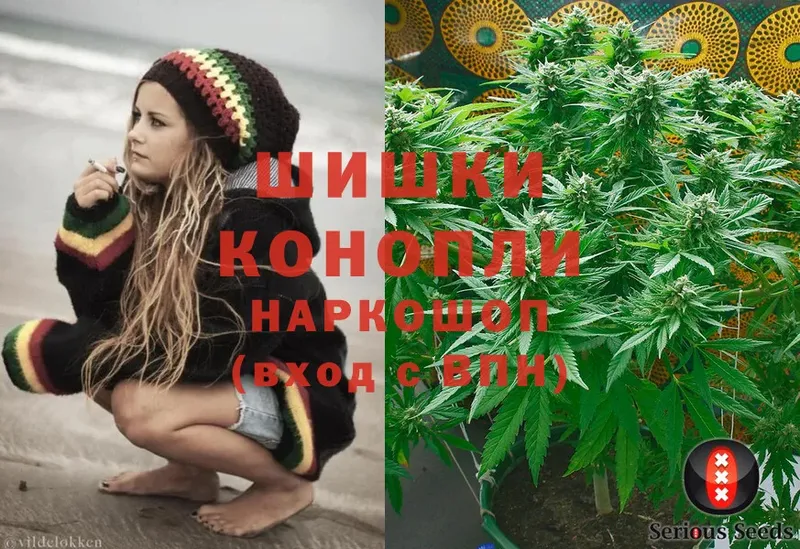 Канабис White Widow  цена   мега онион  Георгиевск 